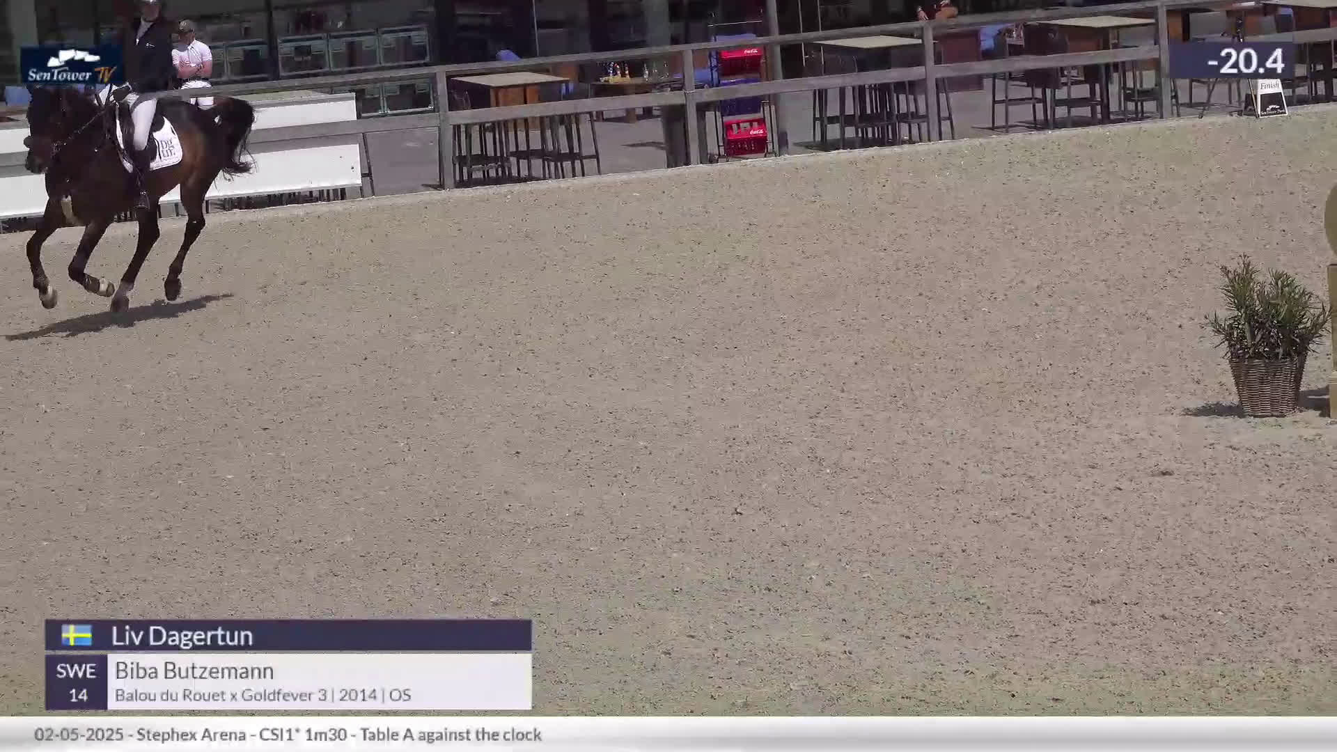 Hoppning hästar till salu: Hopphäst till salu💫 i Luleå - Video 1