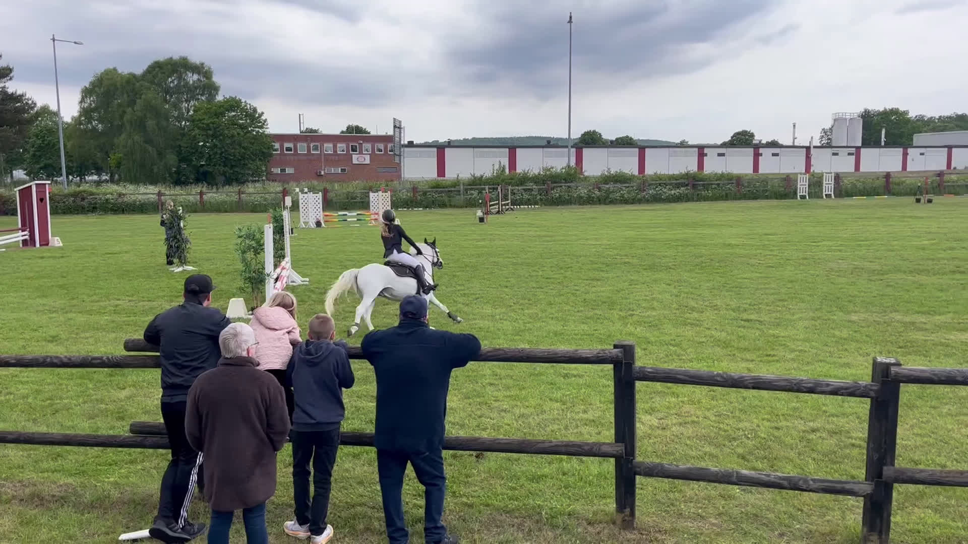 Hoppning hästar till salu: Twilight ||| i Sölvesborg - Video 1