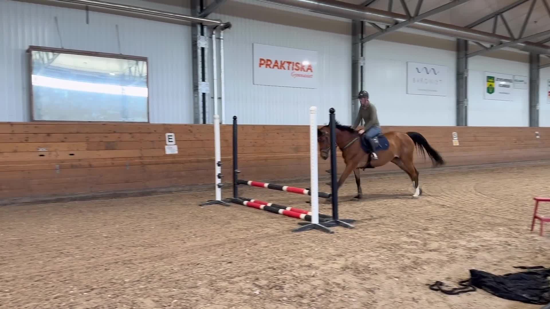Hoppning hästar till salu: Trevligt sto - Video 3