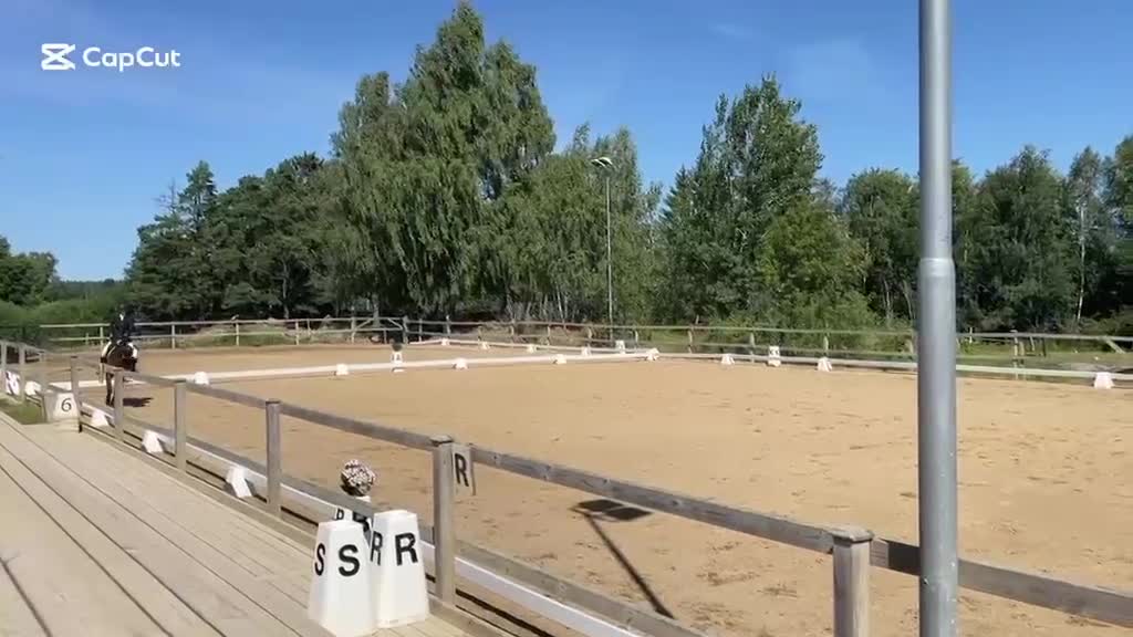Allround hästar till salu: Trevlig allroundponny - Video 4