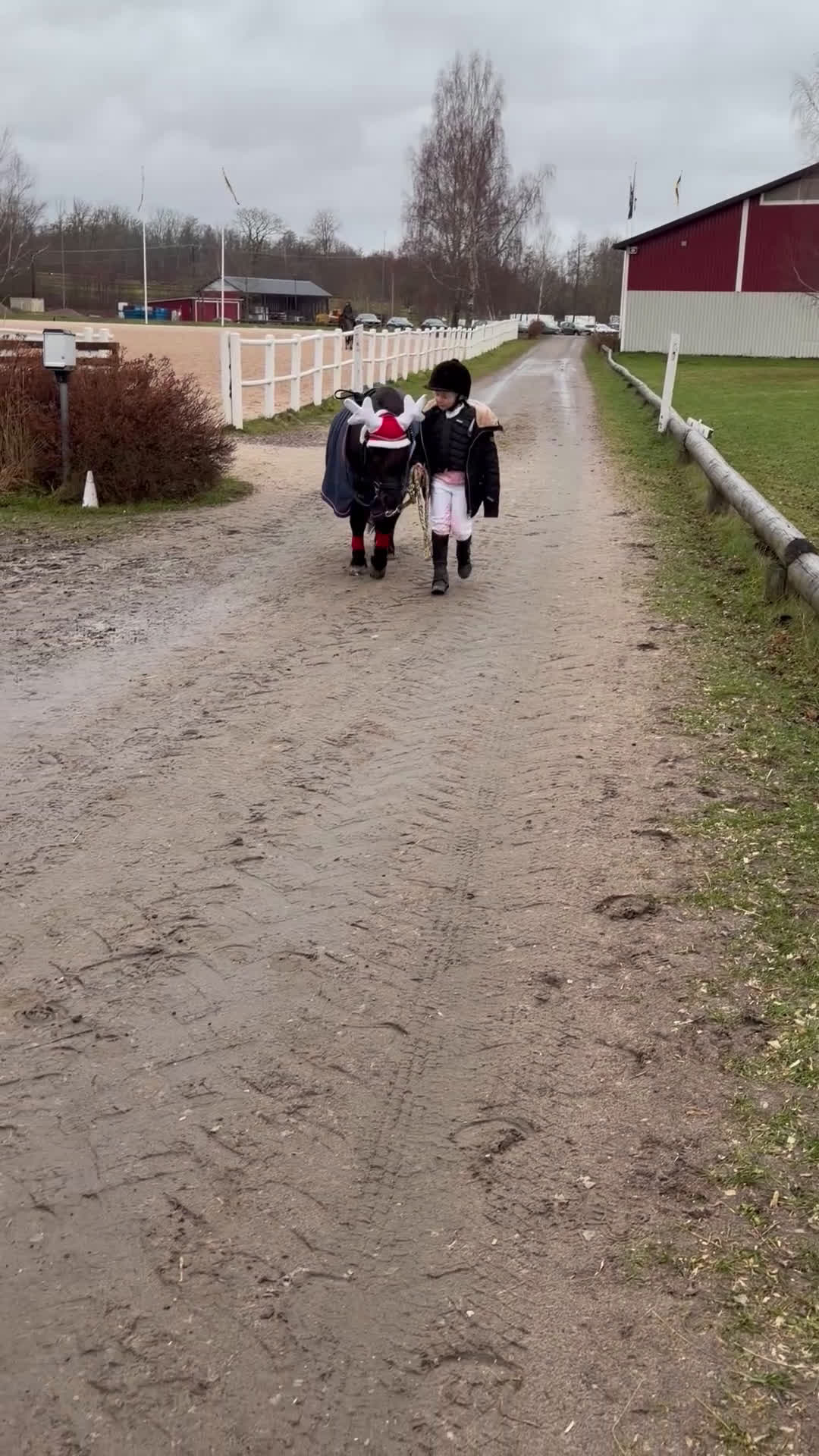 Allround hästar till salu: Bästa första ponnyn till den mindre ryttaren 🐴 i Skövde - Video 1