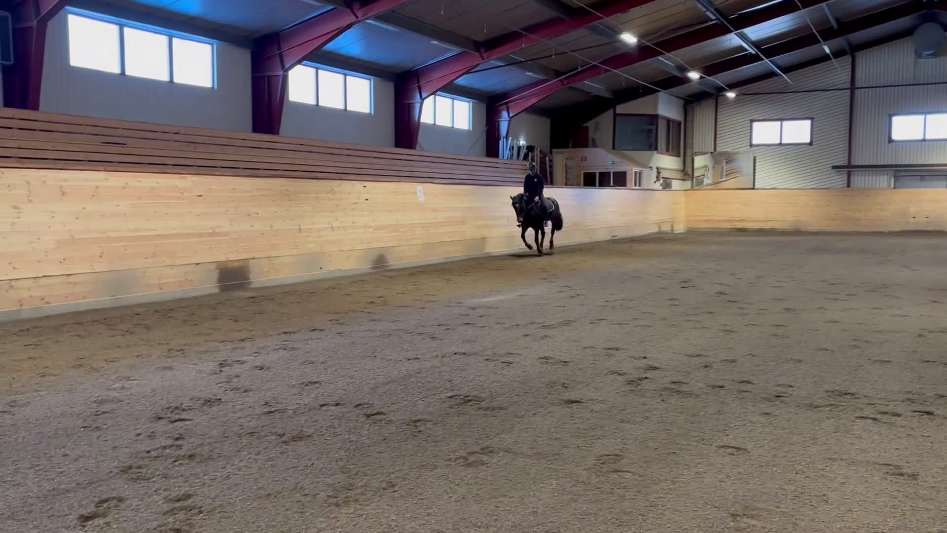 Allround hästar till salu: Fantastisk trygg bästa vän.  i Sundsbruk - Video 1