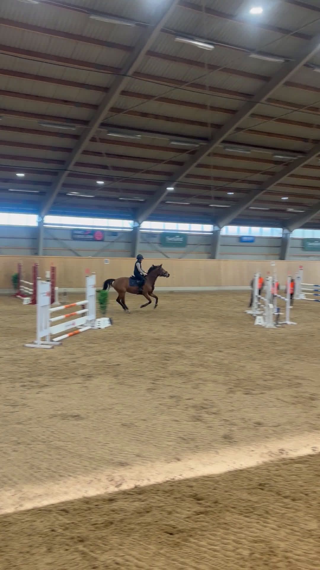 Hoppning hästar till salu: Superfint sto  i Åhus - Video 1