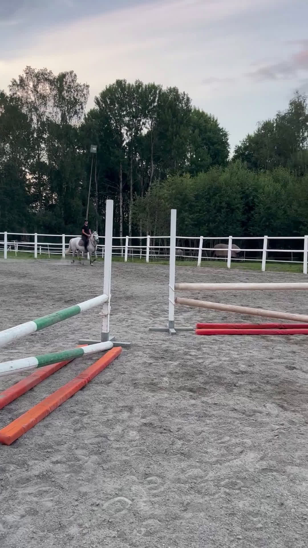 Allround hästar till salu: Ponny med hjärtat på rätt ställe i Arvika - Video 2