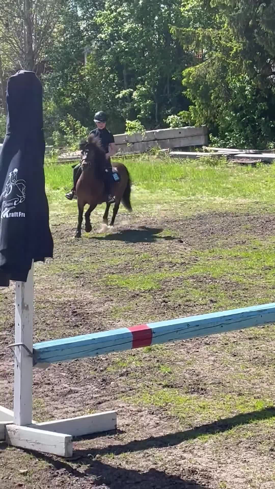 Allround hästar till salu: En ponny med hjärta på rätt ställe ❤️ - Video 1