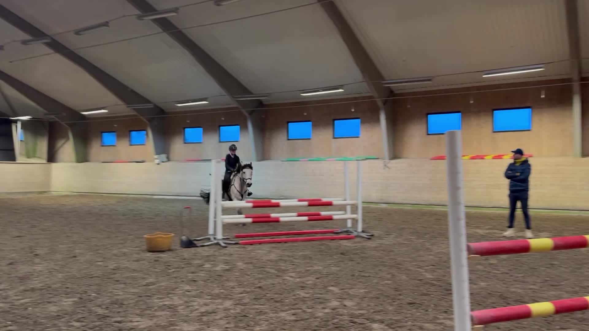 Allround hästar till salu: Rutinerad snygg maxad D-ponny som är med på allt - Video 3