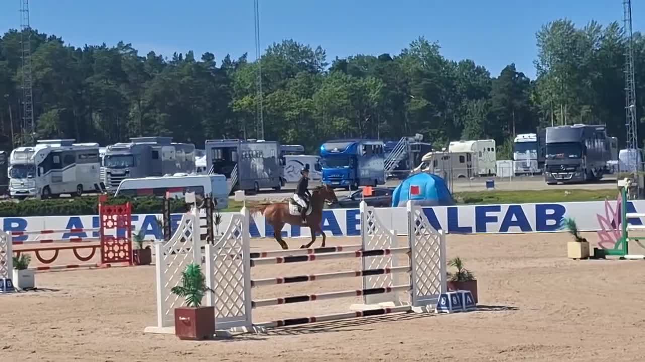 Hoppning hästar till salu: Fantastiskt sto för framtiden  - Video 1