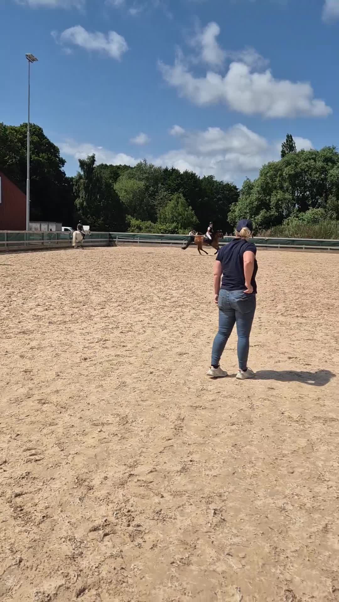 Hoppning hästar till salu: Snäll D ponny  - Video 3