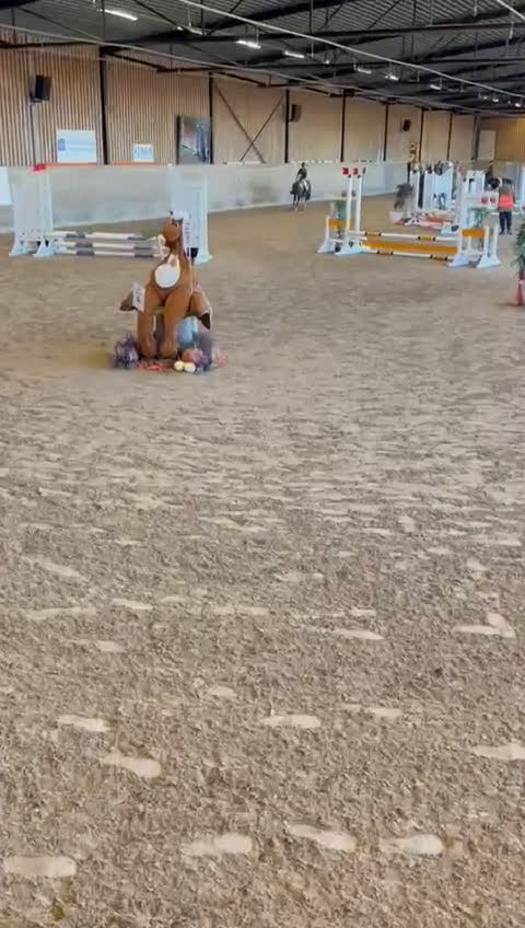 Hoppning hästar till salu: Snäll och hoppglad B-ponny i Sölvesborg - Video 1