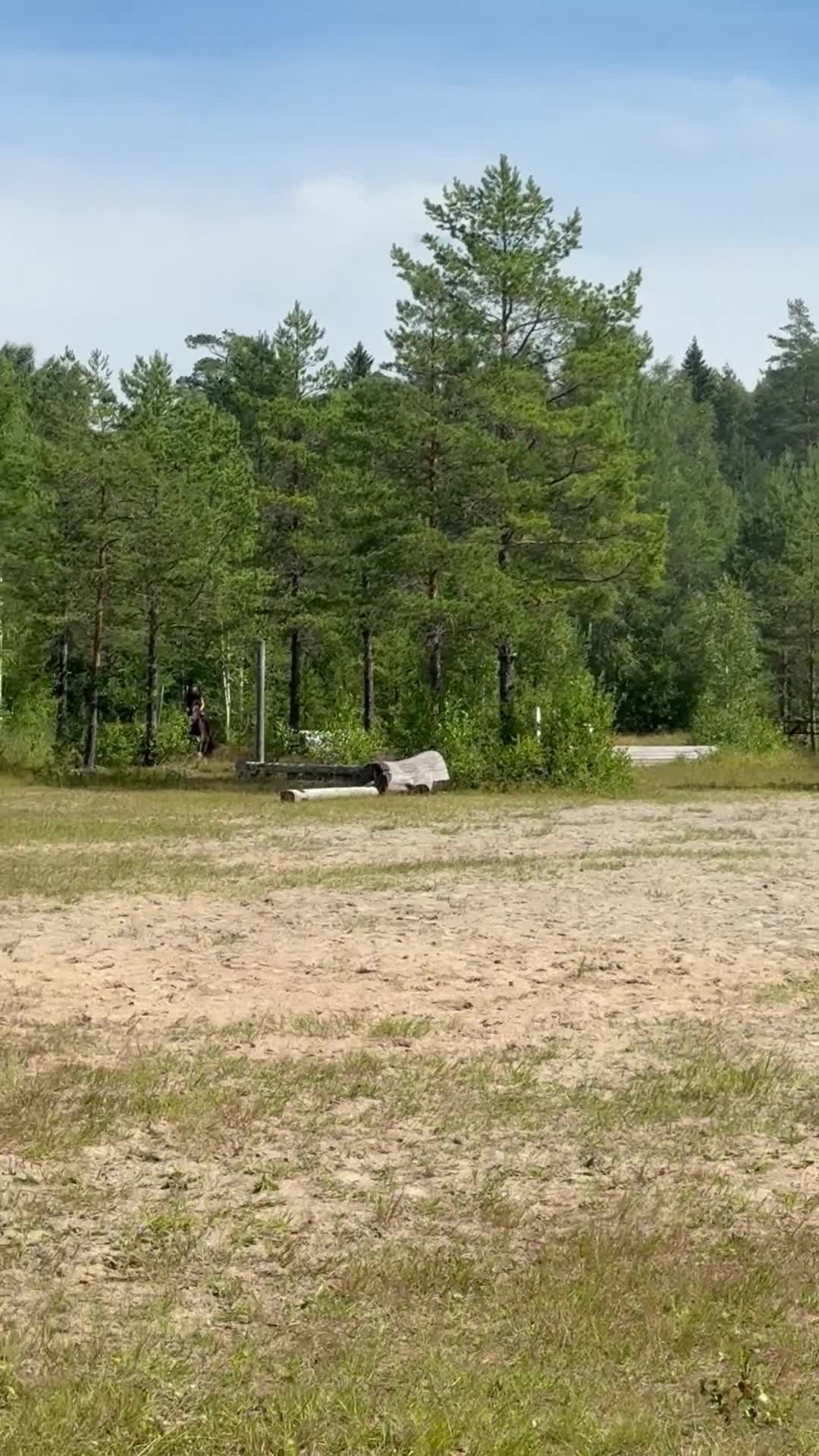 Hoppning hästar till salu: Meriterad hopp- & fälttävlansponny  - Video 3