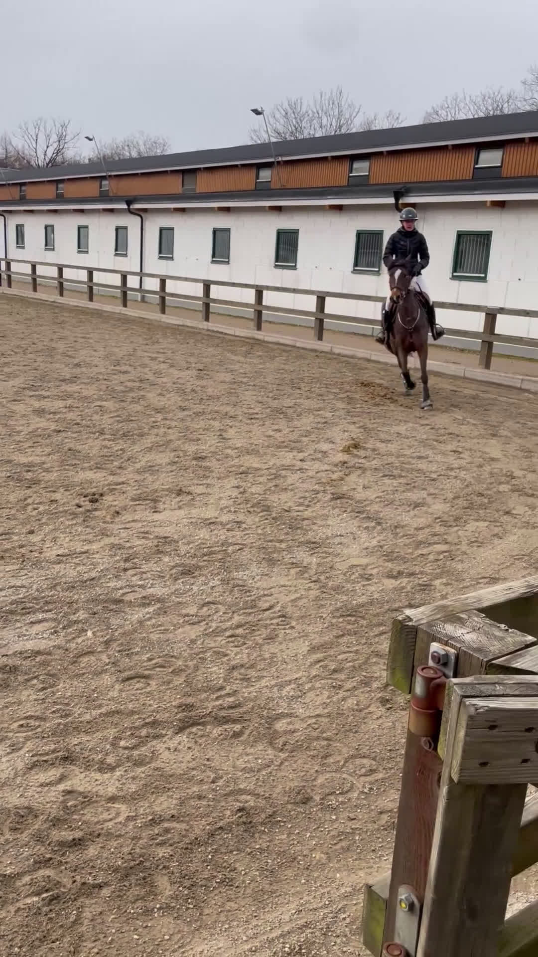 Hoppning hästar till salu: Sportponny med toppstam - Video 4