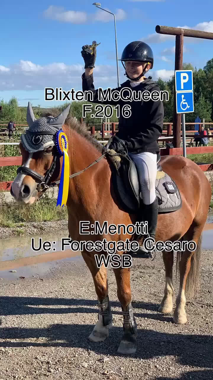 Hoppning hästar till salu: Tävlingsponny i Strängnäs - Video 2