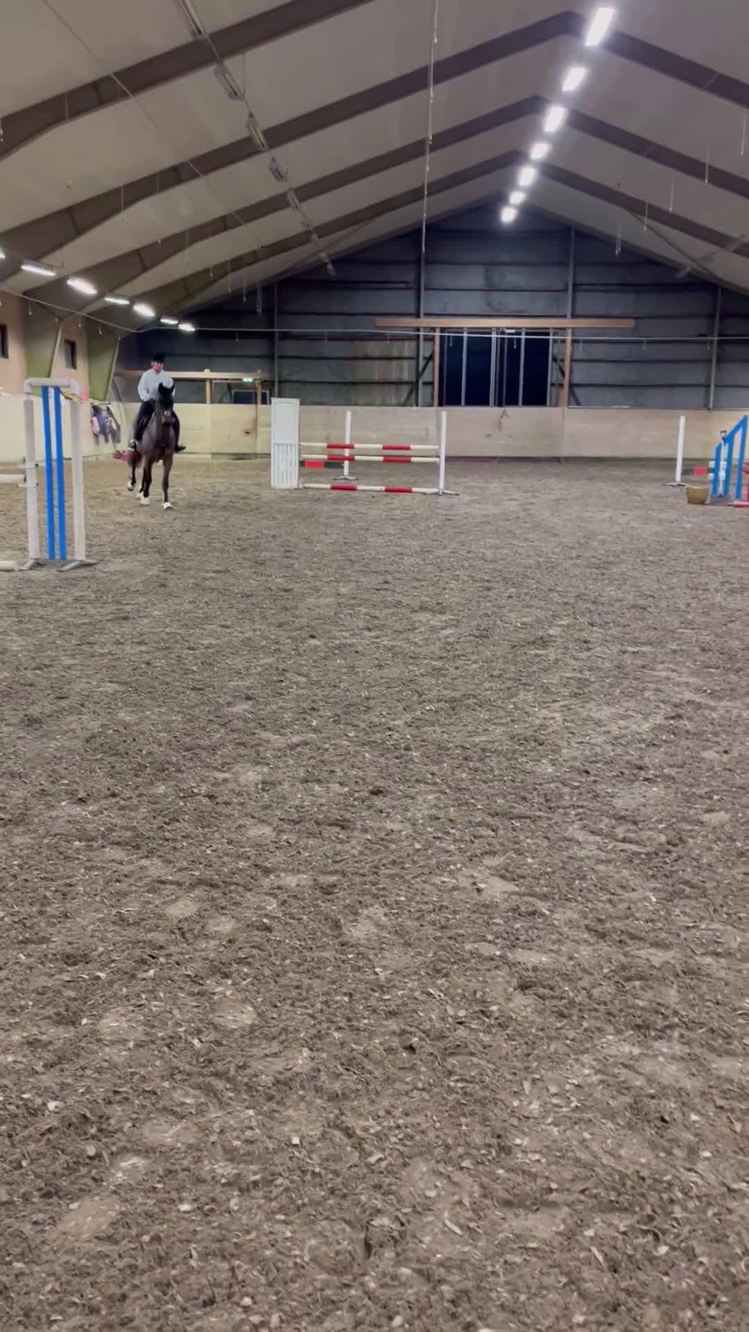 Allround hästar till salu: Till uteritt / hoppning  - Video 5