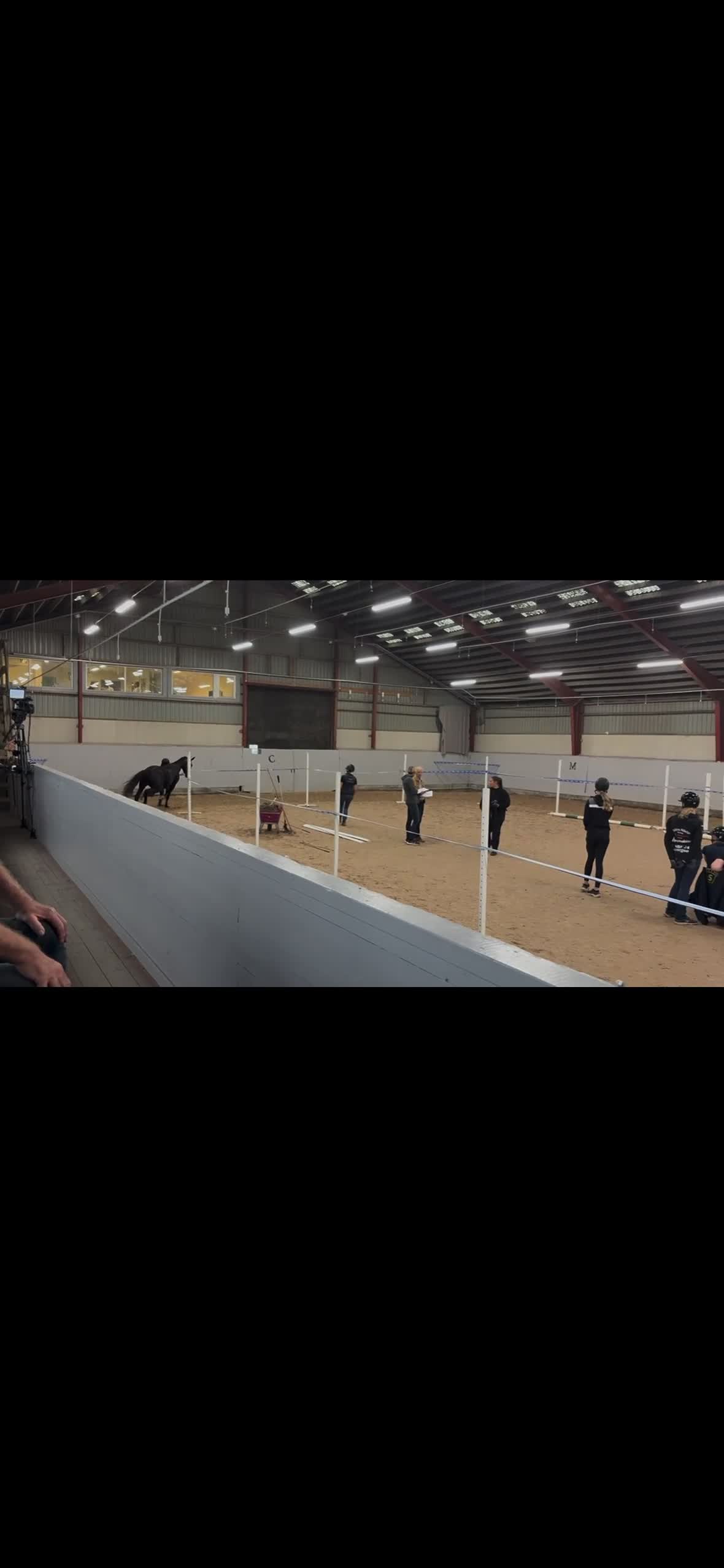 Dressyr hästar till salu: Sto e. Total hope! - Video 3