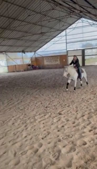 Western hästar till salu: Lovande tävlingshäst, nybesiktigad ua 18/10 i Broddetorp - Video 1