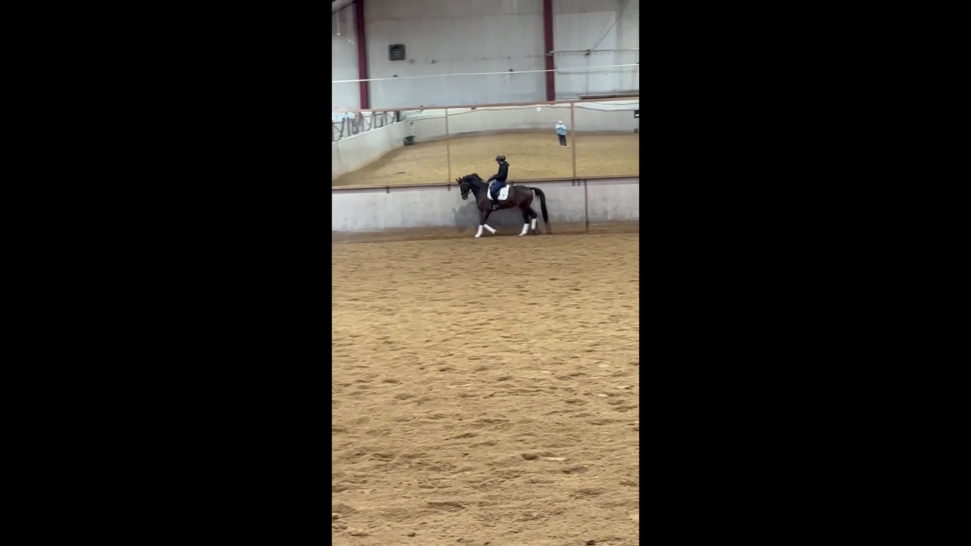 Dressyr hästar till salu: Fin Dressyrhäst i Drottningholm - Video 2