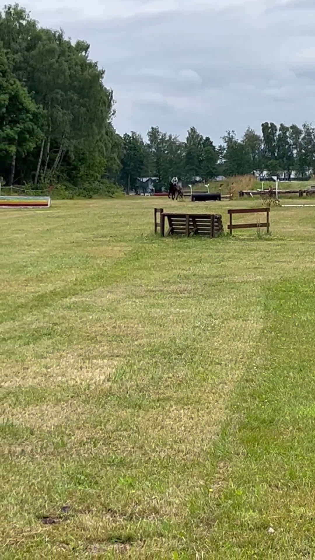  medryttarhäst finnes: Medryttare sökes till C-ponny i Traryd. - Video 1