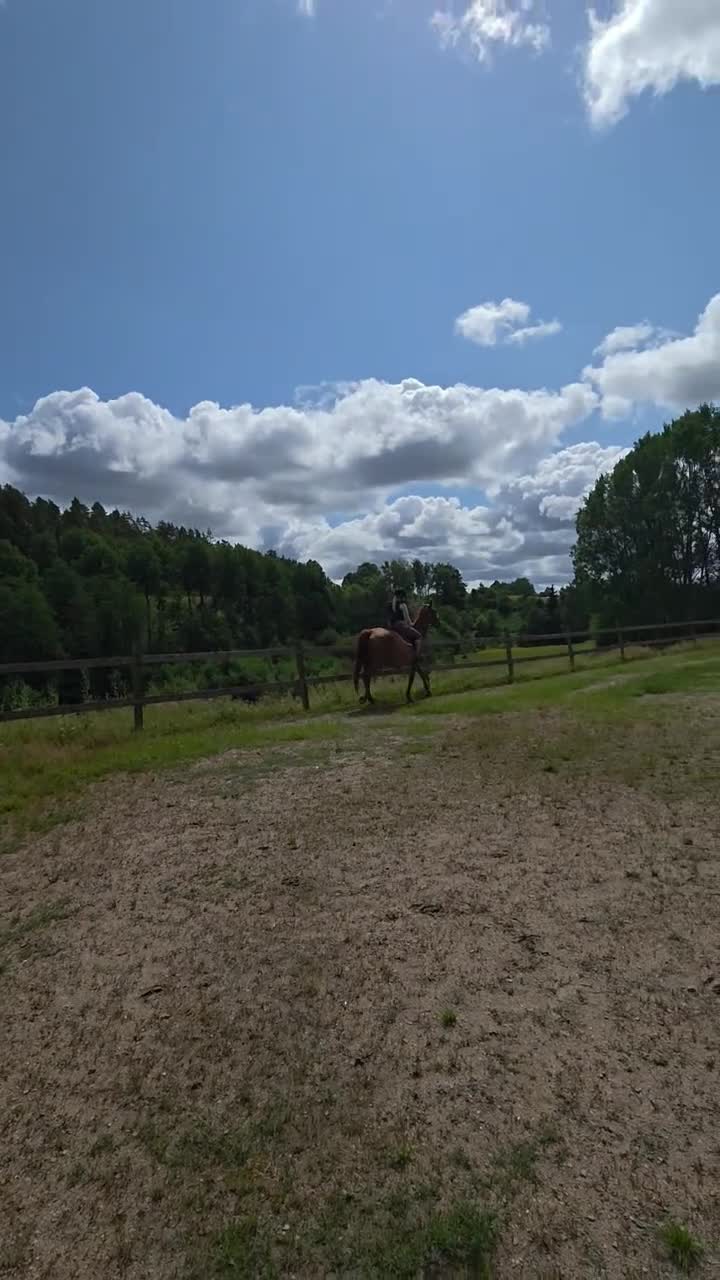 Allround hästar till salu: Mycket trevligt halvblod - Video 2