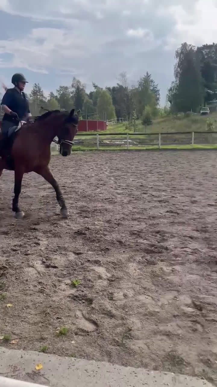 Allround hästar till salu: Lasse söker hem med uteritter och ev körning i Åkersberga - Video 2