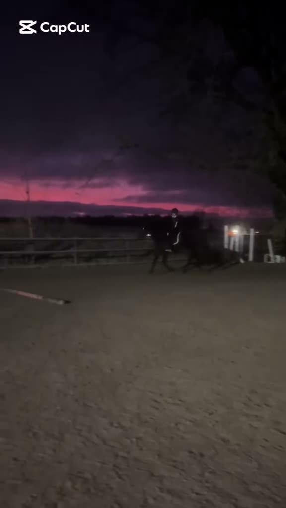 Allround hästar till salu: Allround häst med motor💕 - Video 5