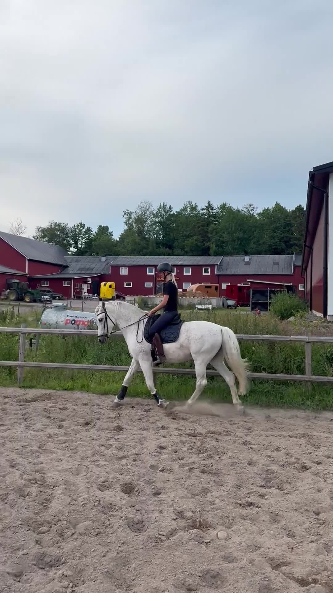  medryttarhäst finnes: Medryttare sökes  i Kungälv - Video 1