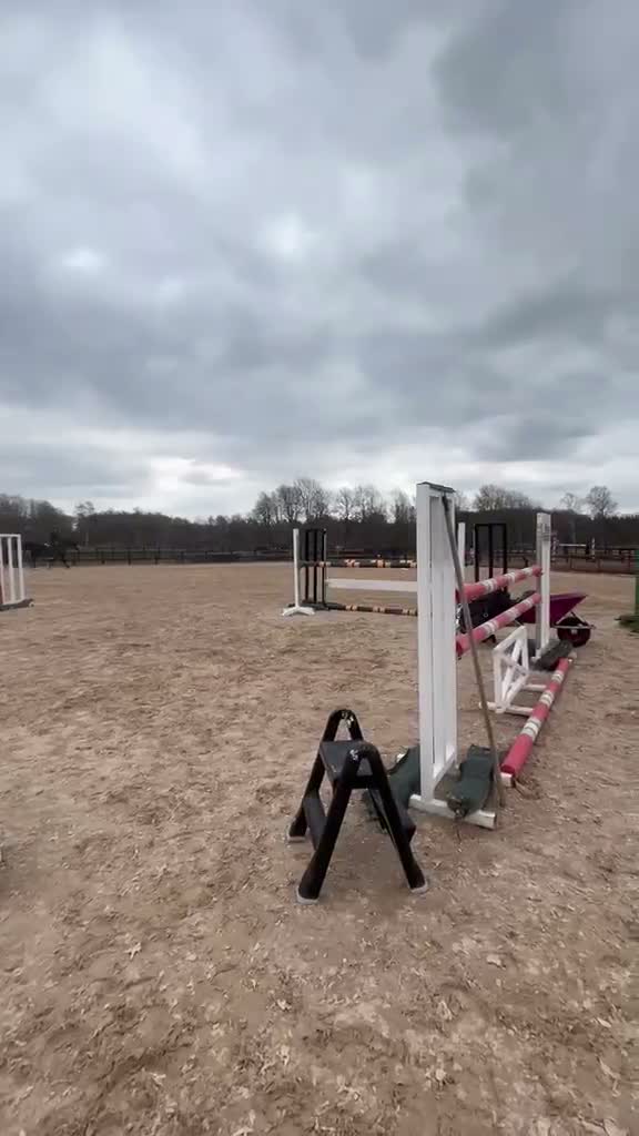 Hoppning hästar sökes: Seamon Ceger vill ha en fodervärd  - Video 1