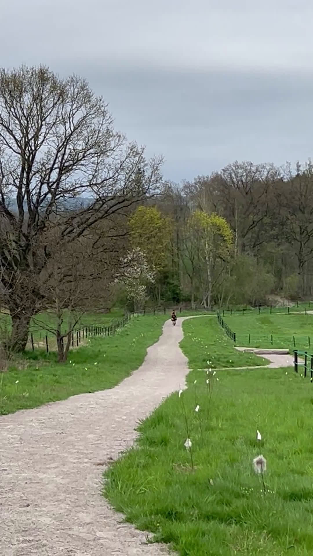 Allround hästar till salu: Personlig d-ponny i Vinslöv - Video 1