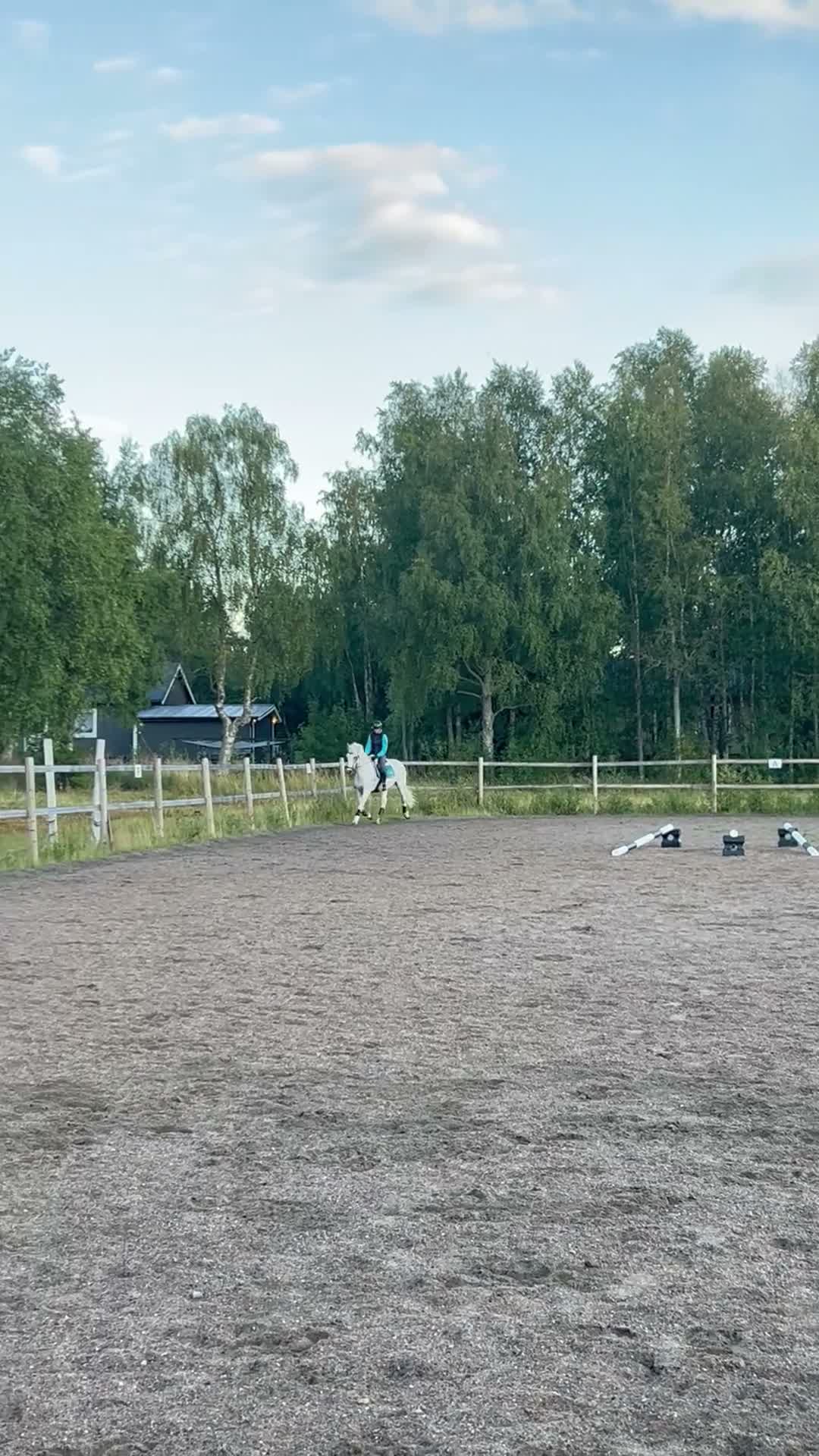 Allround hästar till salu: Snäll läromästare - Video 2
