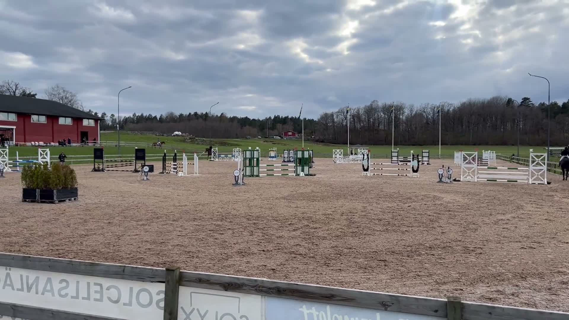 Hoppning hästar till salu: Personlig sto med stort hjärta - Video 3