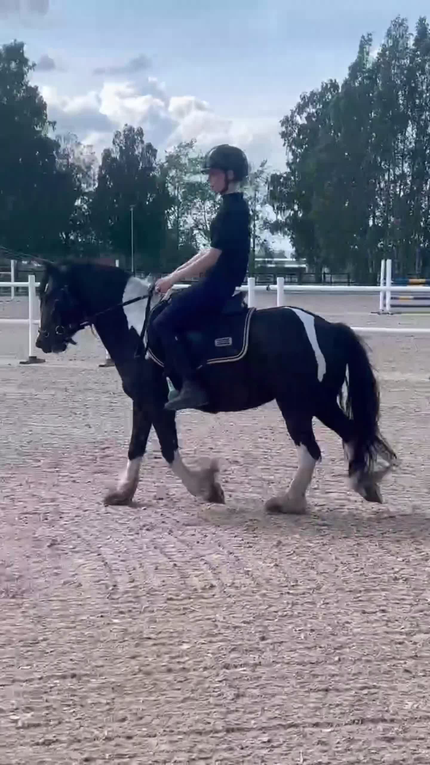 Allround hästar till salu: En midsommardröm - Video 1