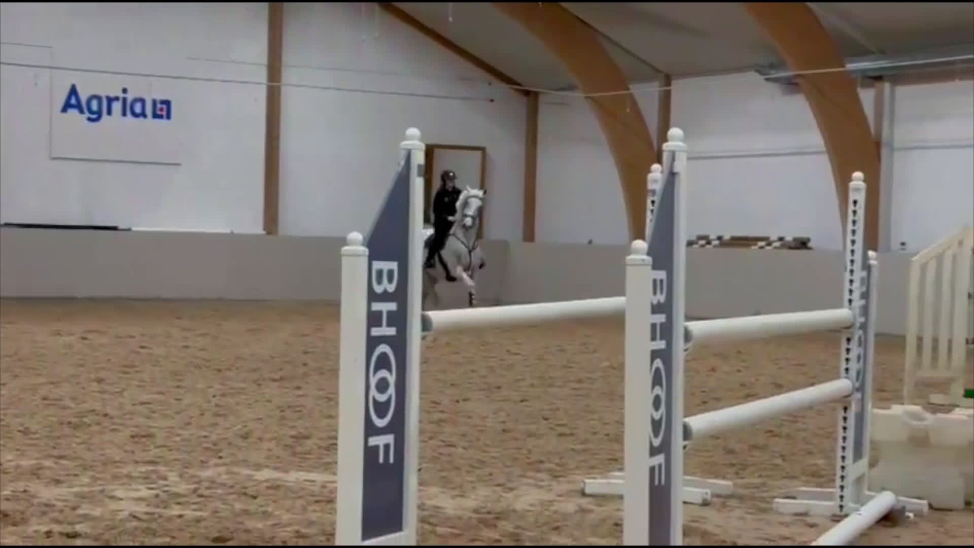 Hoppning hästar till salu: Trevlig Hobby / Tävlingshäst i Tomelilla - Video 2