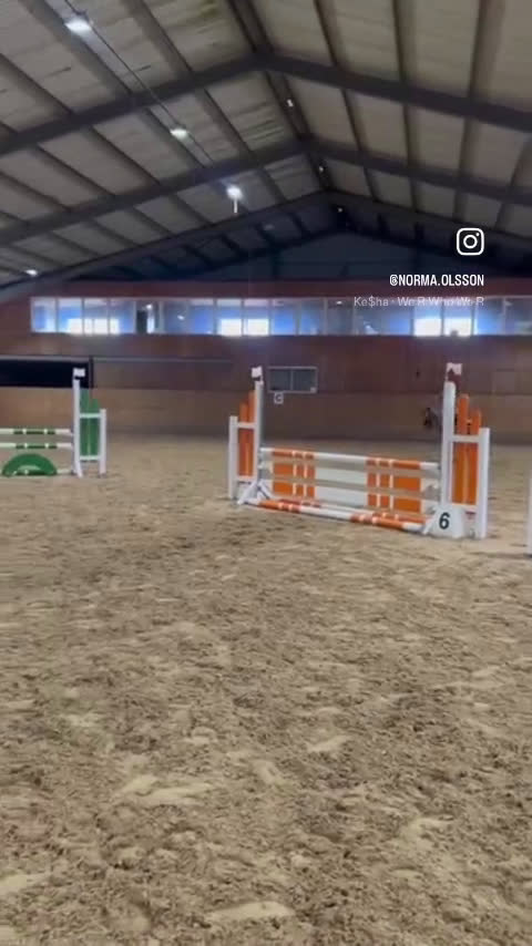 Allround hästar till salu: ✨ Fantastisk welshponny ✨ i Bromölla - Video 1