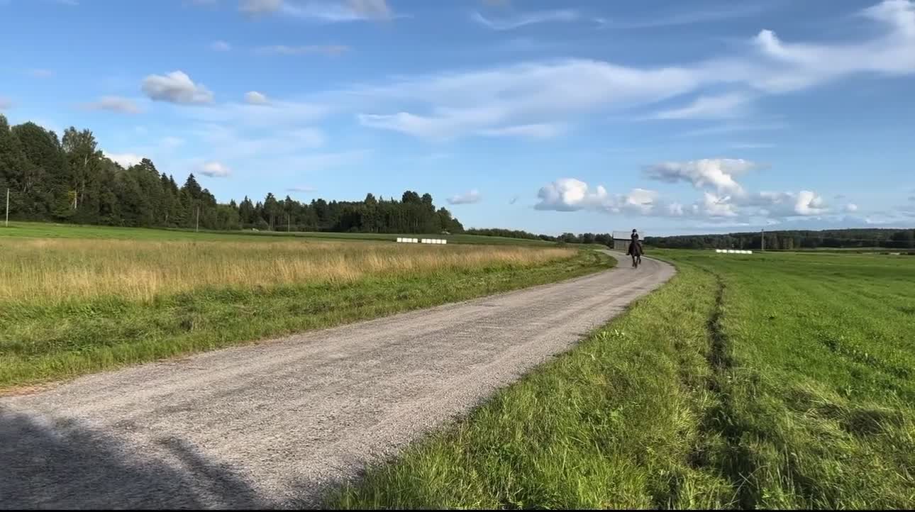  foderhäst finnes: Snällt sto med personlighet söker fodervärd🌟 - Video 5