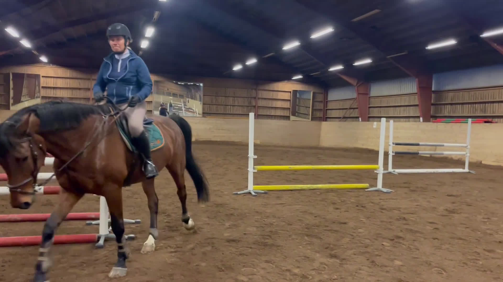 Allround hästar till salu: Toppstammad häst för varierad ridning i Sigtuna - Video 1