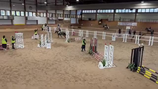 Allround hästar till salu: LÄROMÄSTARE  i Gråbo - Video 1