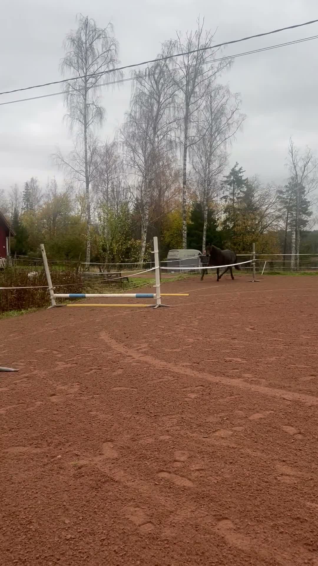 Allround hästar till salu: Trevligt allroundsto - Video 1