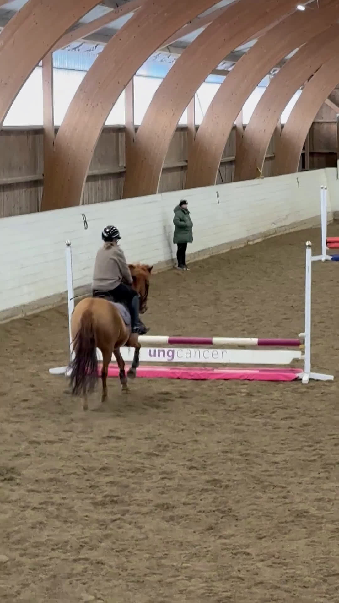 Allround hästar till salu: Supermaxad läromästare med kapacitet  i Värmdö - Video 5