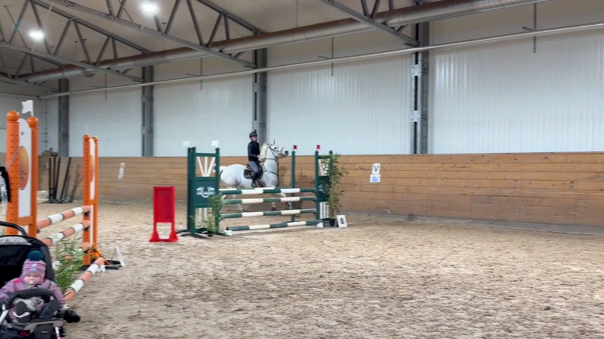 Hoppning hästar till salu: Förtroende givande hopphäst i Åtvidaberg - Video 1