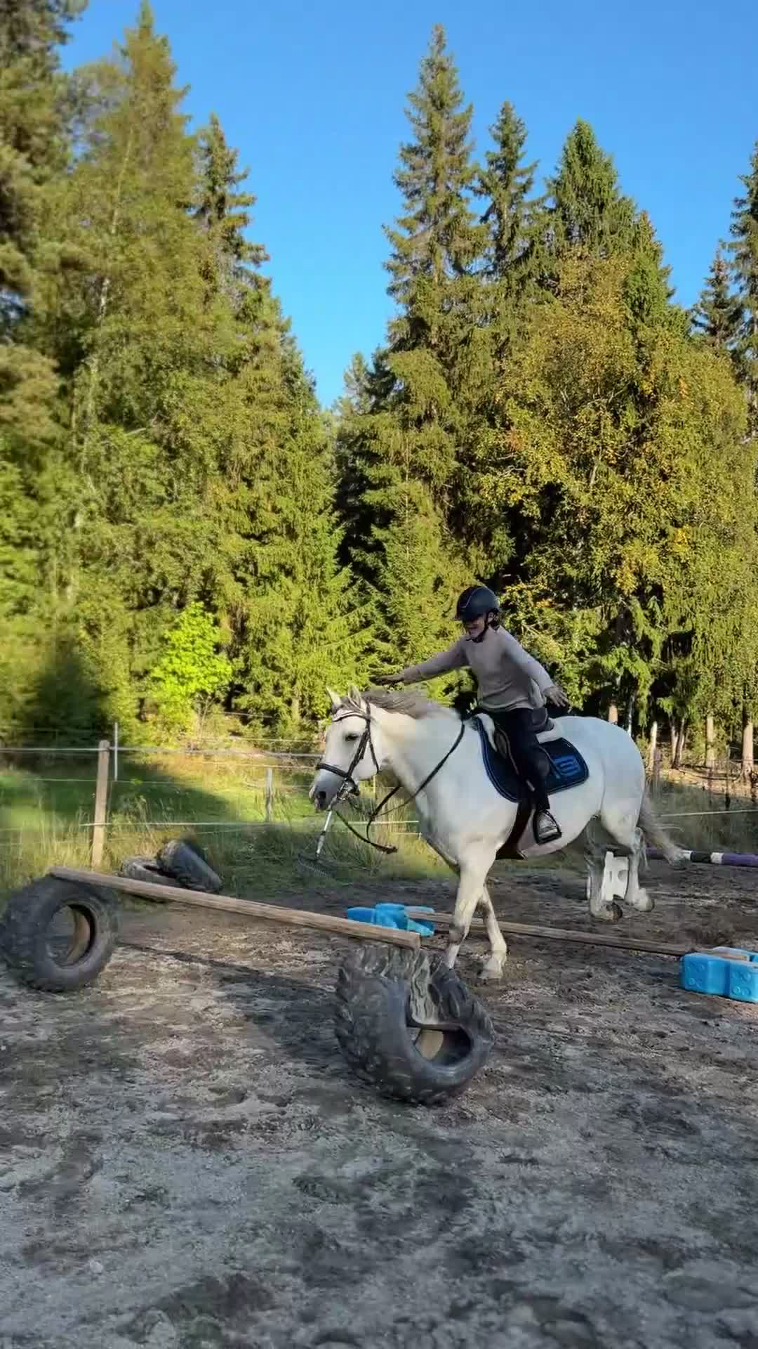 Allround hästar till salu: Maxat svenskfödd d-ponny sto  - Video 3