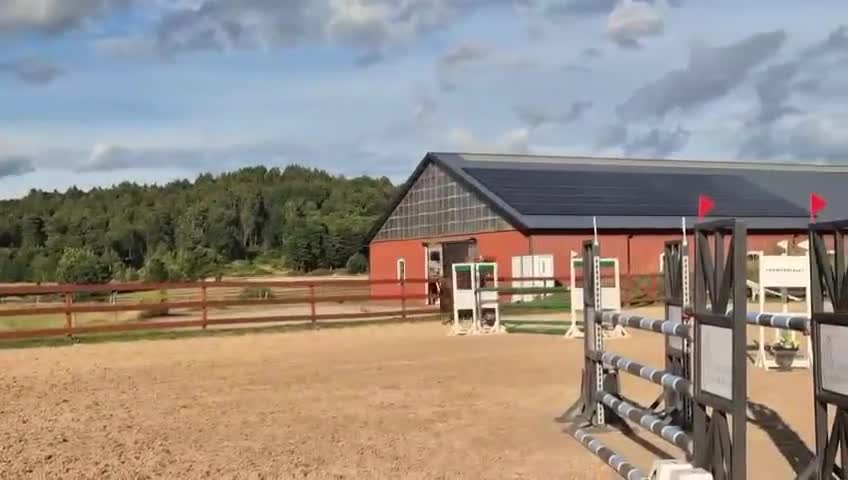 Hoppning hästar till salu: Mysig 3-åring med 140-mamma och fin framtid - Video 1