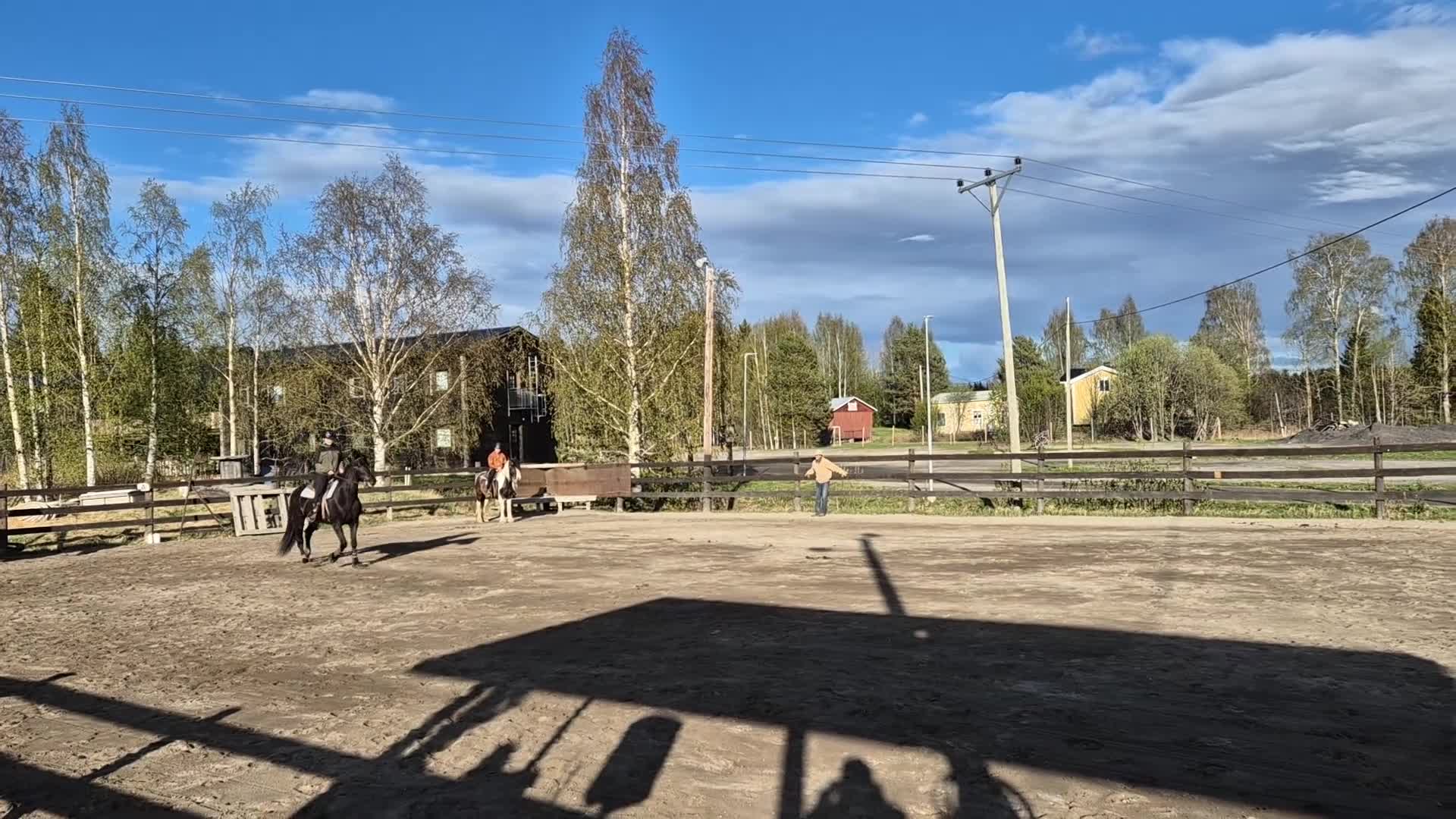 Allround hästar till salu: SÅLD Trygg häst till körning, ridning, hoppning - Video 2
