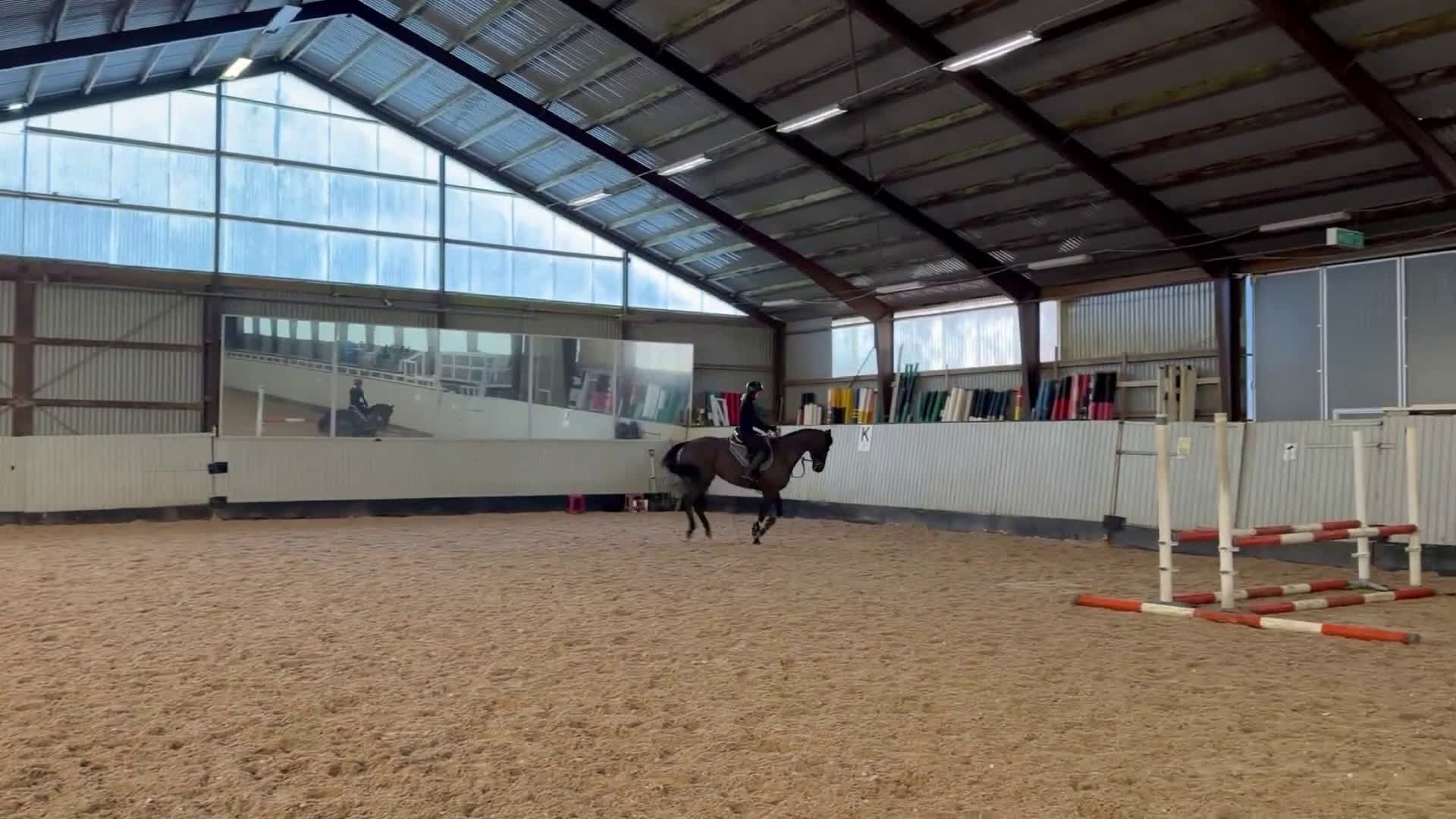 Allround hästar till salu: Bear Pong  - Video 2