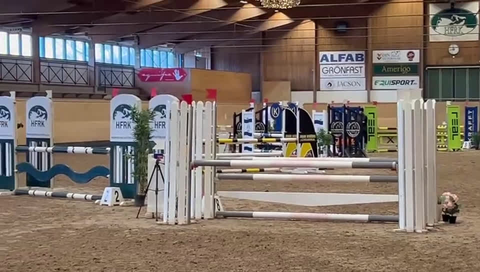 Hoppning hästar till salu: Hopponny för framtiden  - Video 1