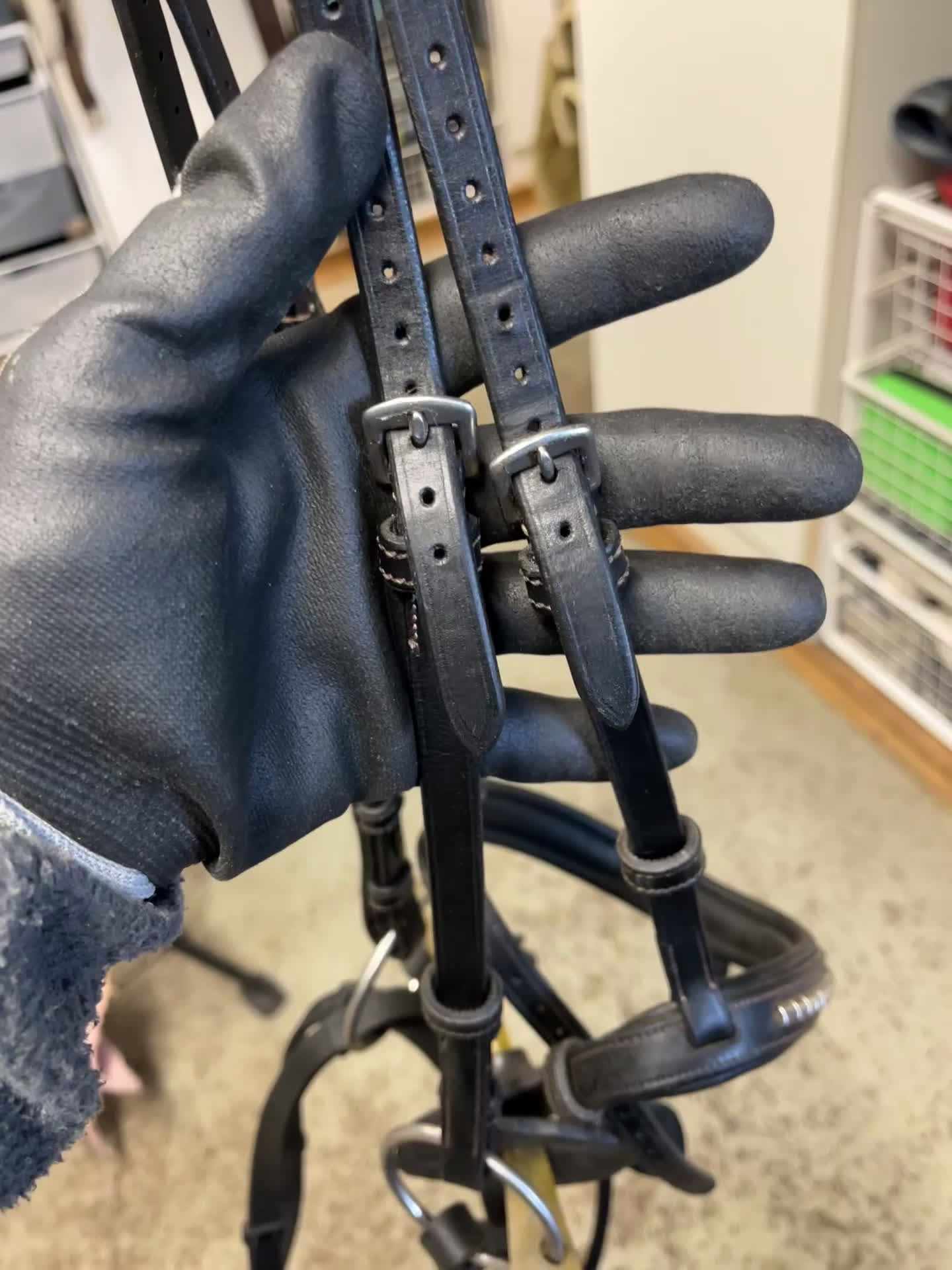 Träns hästutrustning till salu: Ps träns modell Antwerpen  i Växjö - Video 1