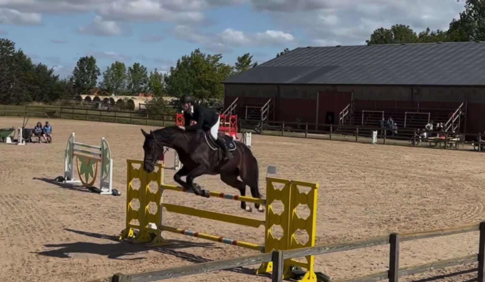 Hoppning hästar till salu: Trevlig häst för de stora klasserna - Video 2