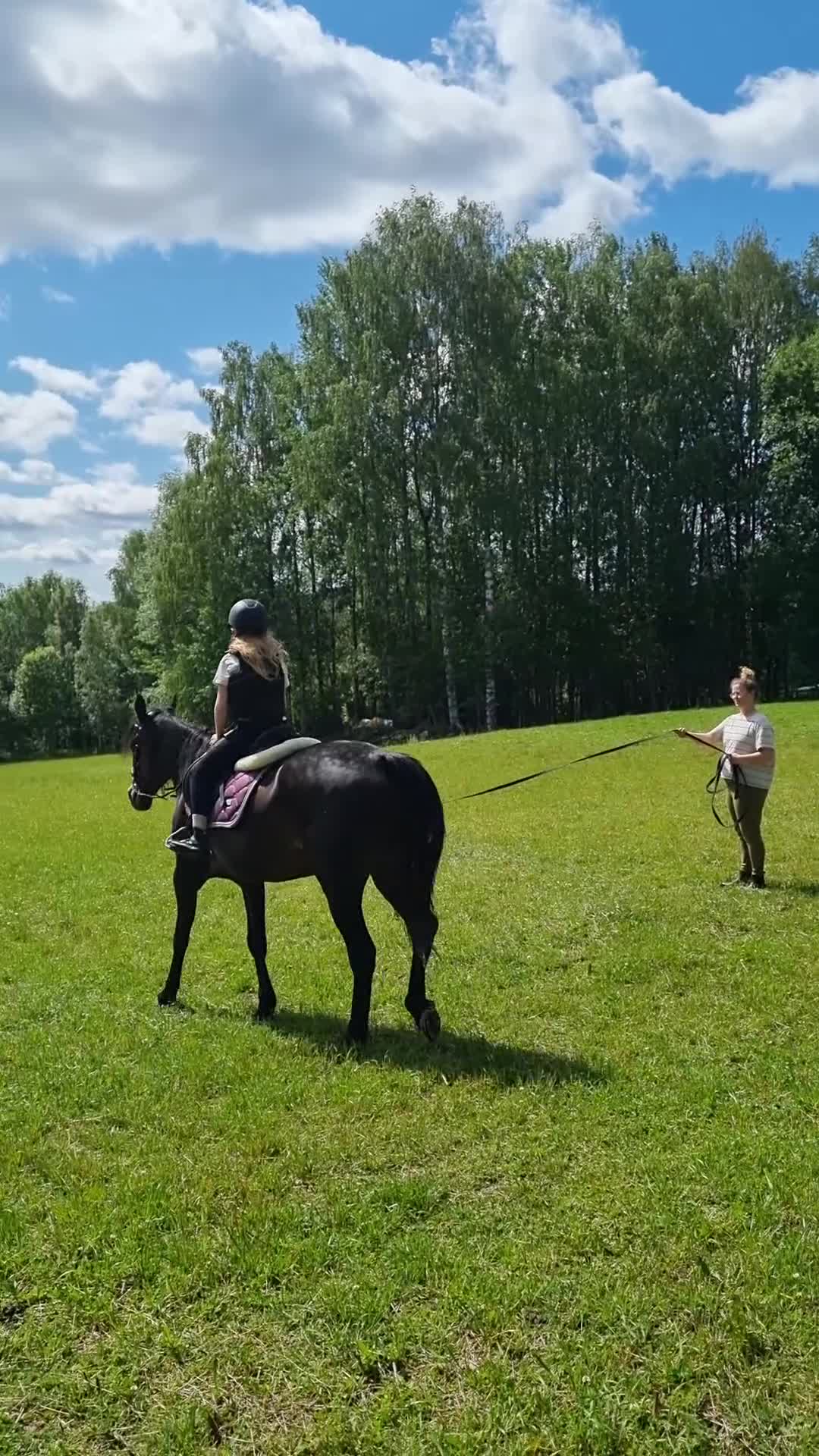 Allround hästar till salu: Vacker ridtravare i Järvsö - Video 1