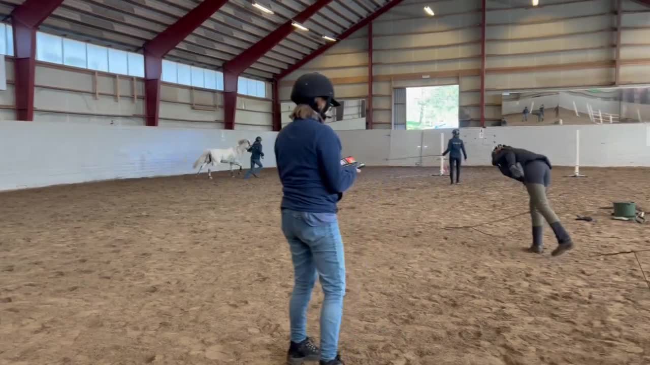 Allround hästar till salu: Moflos Zibel  i Långaryd - Video 1