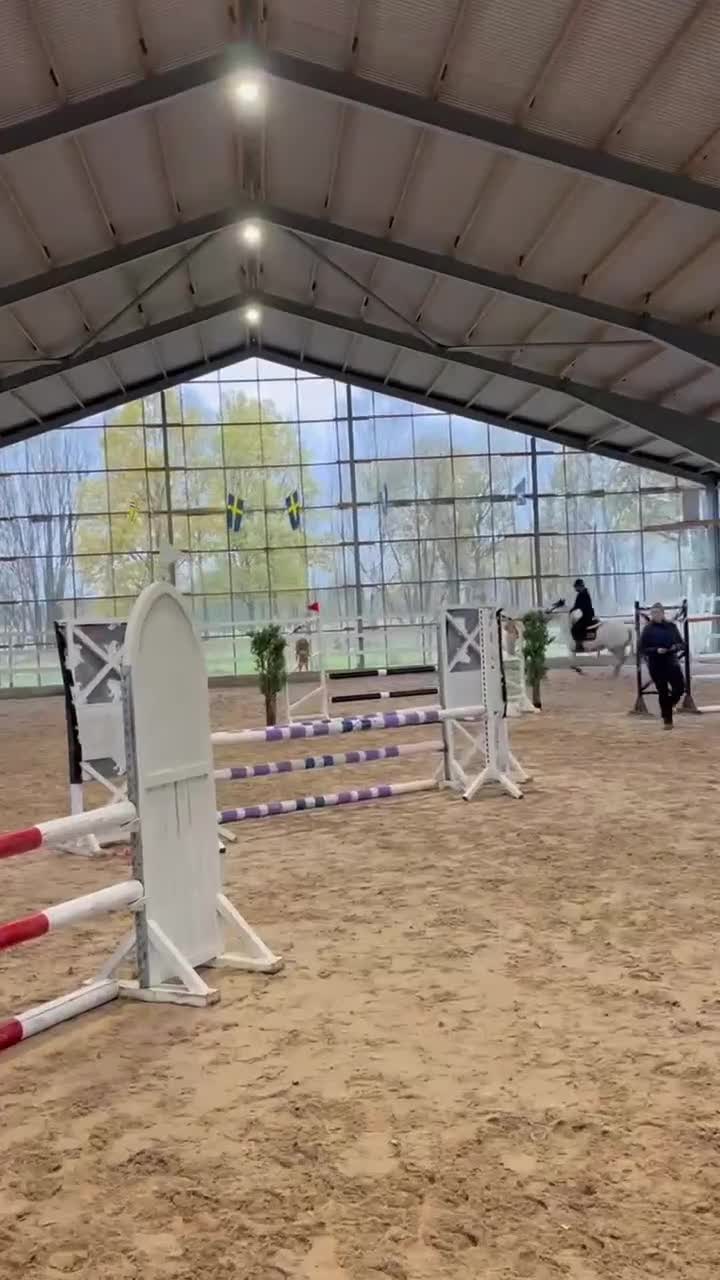 Hoppning hästar till salu: Trygg tävlingsponny med hjärta av guld i Harestad - Video 2