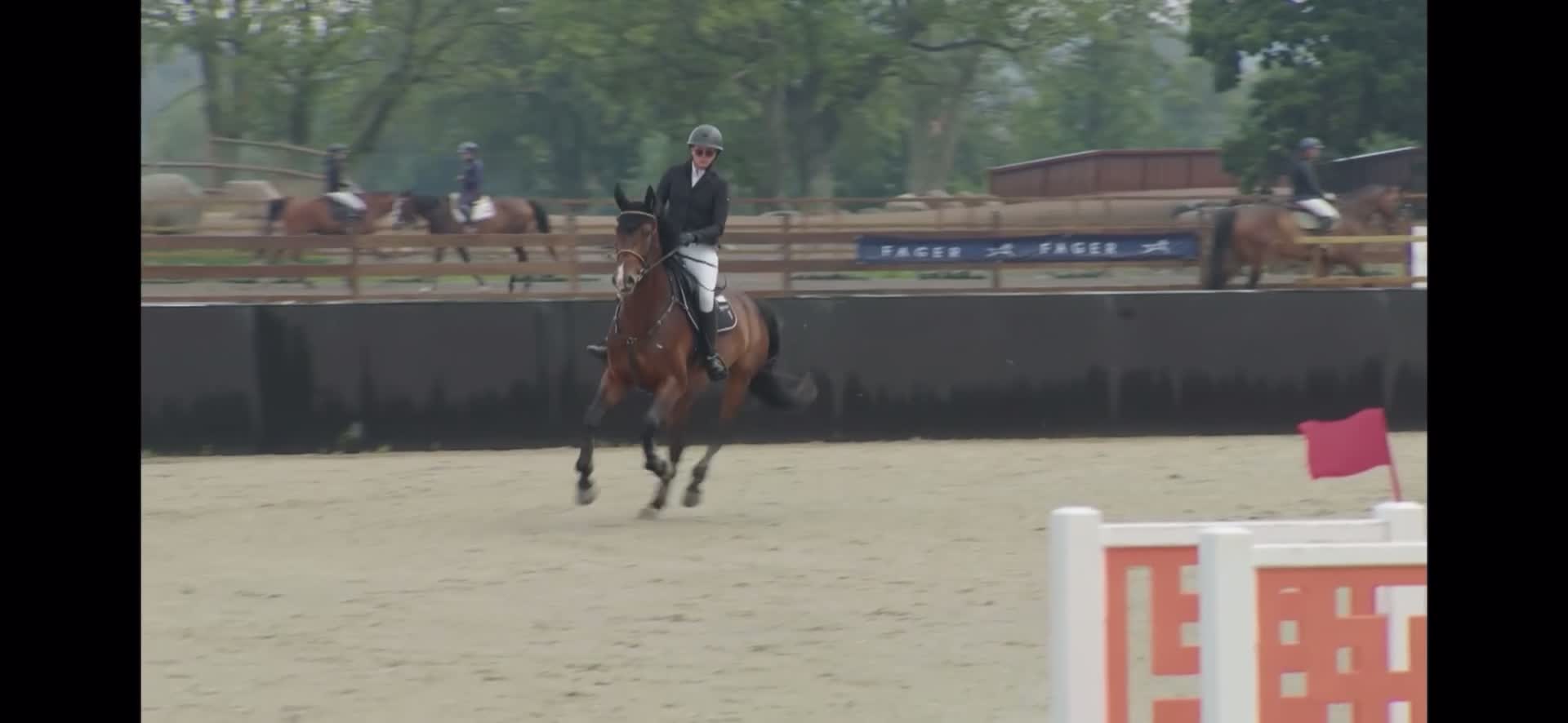 Hoppning hästar till salu: Trevlig 5 åring för framtiden - Video 1