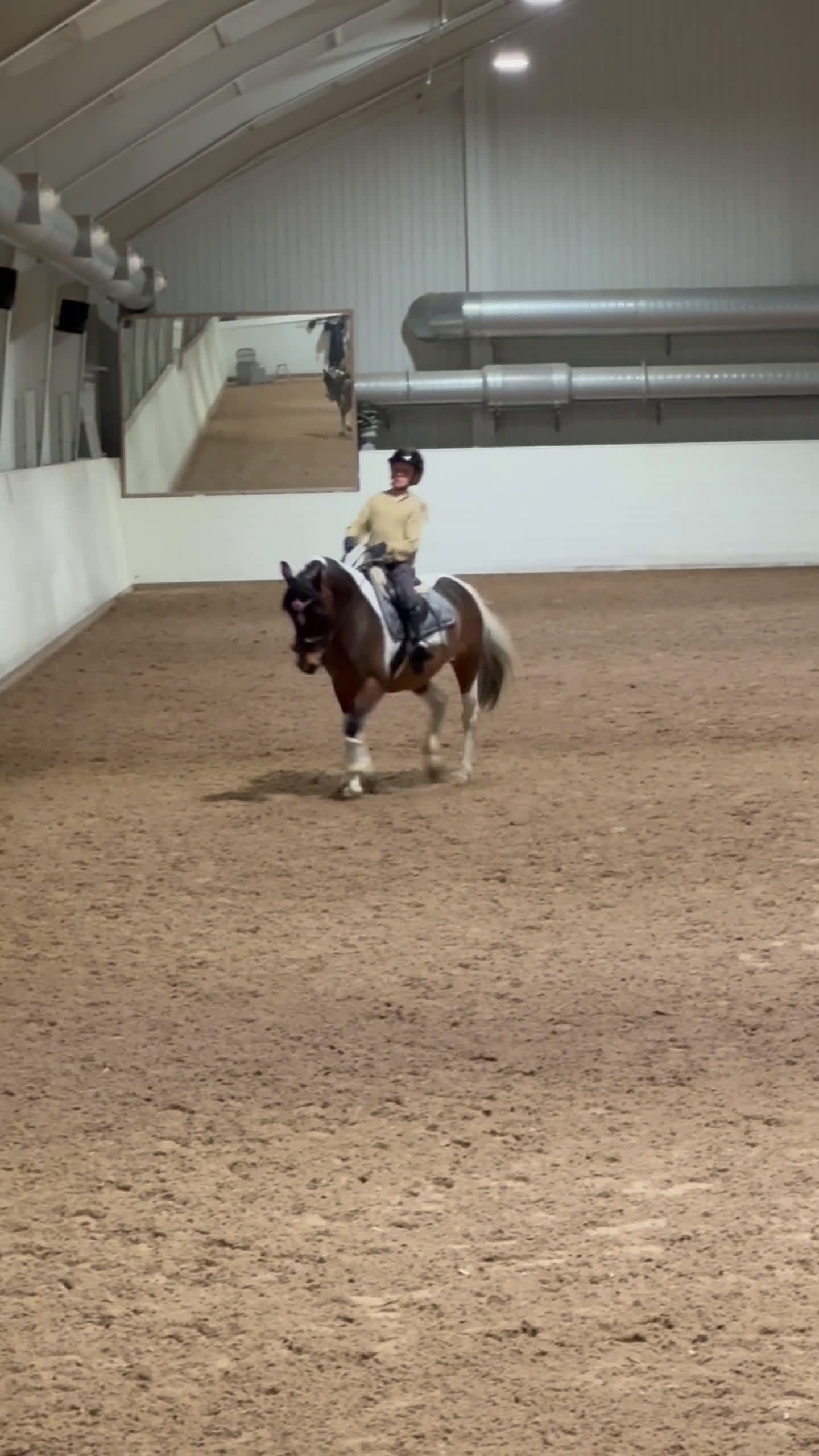 Allround hästar till salu: Världens gulligaste Bianca!  i Värmdö - Video 1